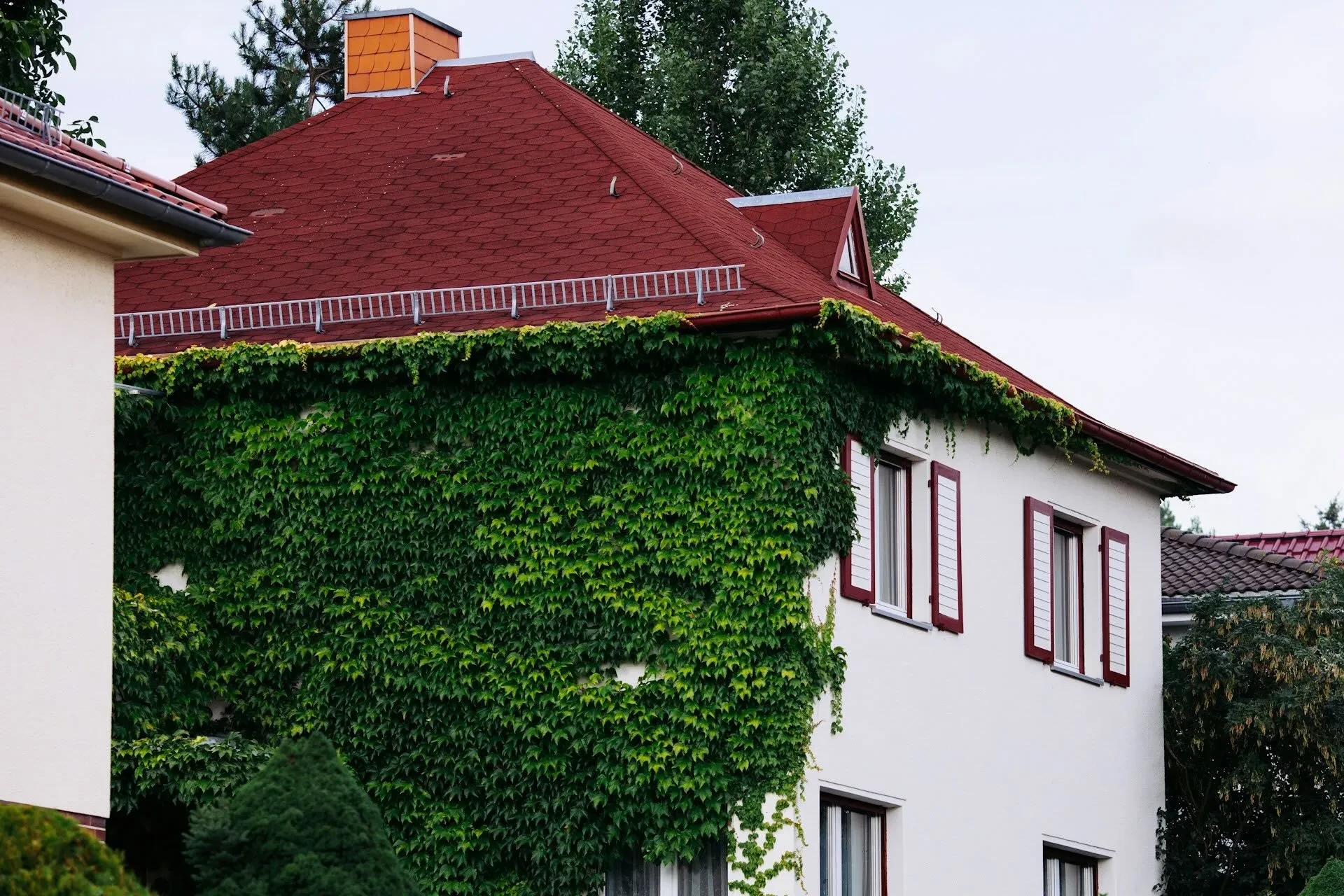Weißes Wohnhaus mit rotem Dach und grünem Efeu an der Fassade