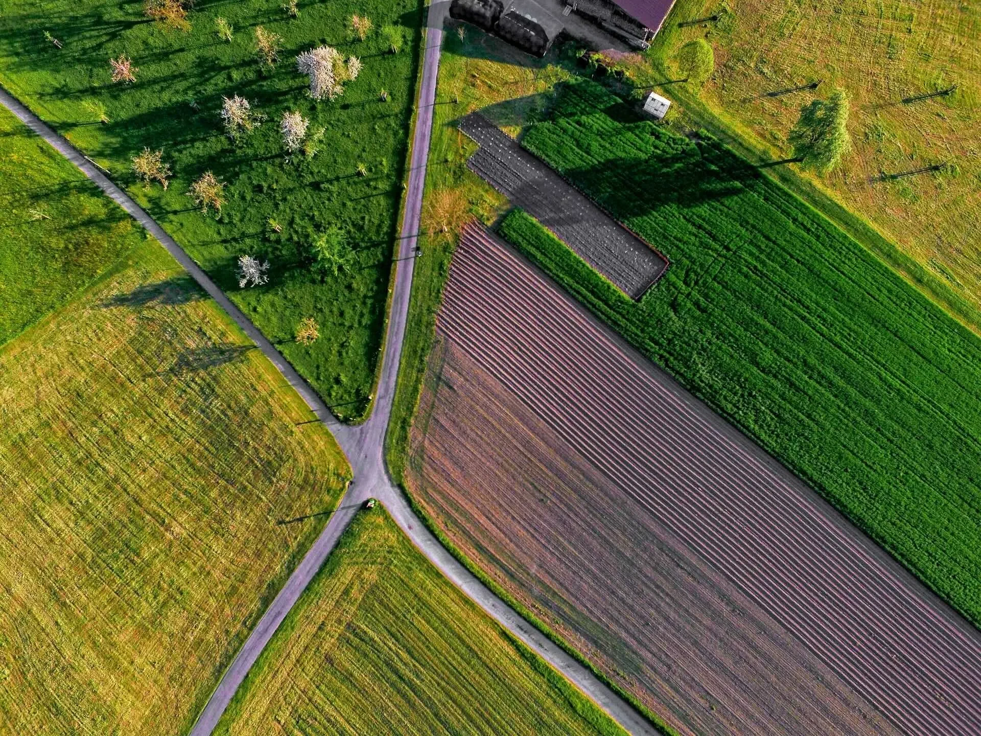 Luftaufnahme von landwirtschaftlichen Feldern und Straßen in ländlicher Umgebung